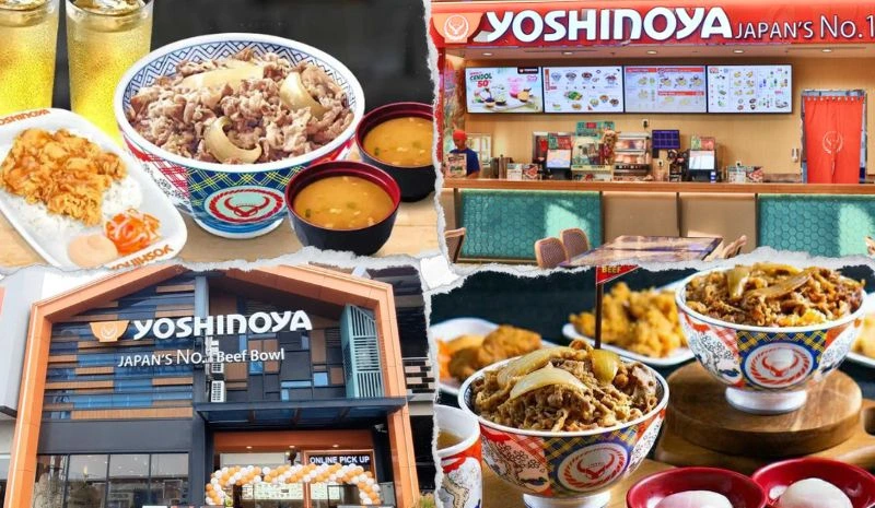 Franchise Yoshinoya, Pemilik, Syarat Bergabung & Harga Investasi
